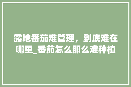 露地番茄难管理，到底难在哪里_番茄怎么那么难种植呢 露地番茄难管理，到底难在哪里_番茄怎么那么难种植呢 番茄病虫害防治