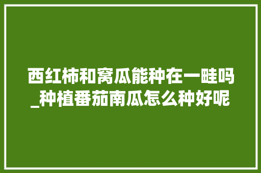 西红柿和窝瓜能种在一畦吗_种植番茄南瓜怎么种好呢视频