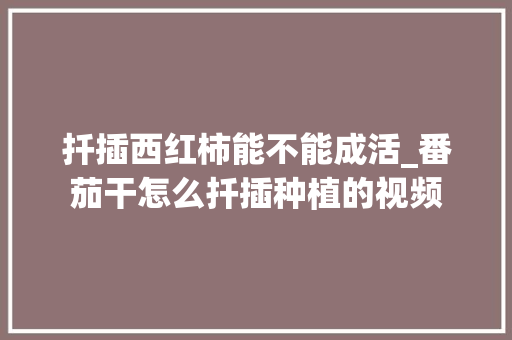 扦插西红柿能不能成活_番茄干怎么扦插种植的视频