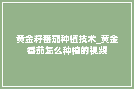 黄金籽番茄种植技术_黄金番茄怎么种植的视频