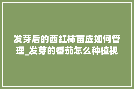 发芽后的西红柿苗应如何管理_发芽的番茄怎么种植视频