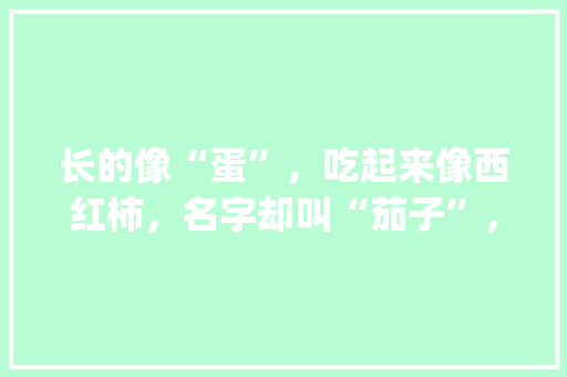 长的像“蛋”，吃起来像西红柿，名字却叫“茄子”，这种蔬菜咋那么奇怪？如何种植呢_茄子蔬菜种植技巧与方法视频 长的像“蛋”，吃起来像西红柿，名字却叫“茄子”，这种蔬菜咋那么奇怪？如何种植呢_茄子蔬菜种植技巧与方法视频 植物种类
