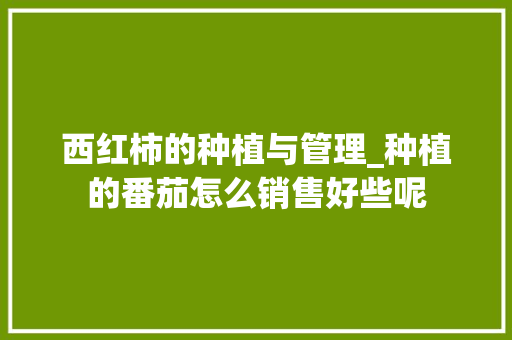 西红柿的种植与管理_种植的番茄怎么销售好些呢 西红柿的种植与管理_种植的番茄怎么销售好些呢 番茄种植技巧