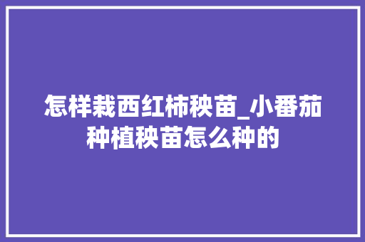 怎样栽西红柿秧苗_小番茄种植秧苗怎么种的 怎样栽西红柿秧苗_小番茄种植秧苗怎么种的 花朵知识