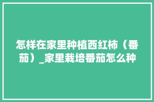 怎样在家里种植西红柿（番茄）_家里栽培番茄怎么种植视频 怎样在家里种植西红柿（番茄）_家里栽培番茄怎么种植视频 种植技巧