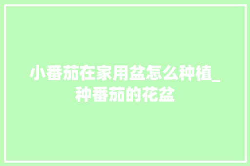 小番茄在家用盆怎么种植_种番茄的花盆 小番茄在家用盆怎么种植_种番茄的花盆 番茄病虫害防治