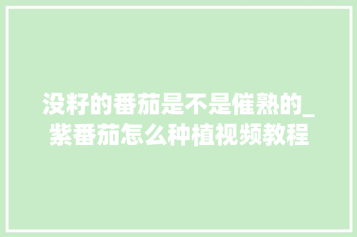 没籽的番茄是不是催熟的_紫番茄怎么种植视频教程