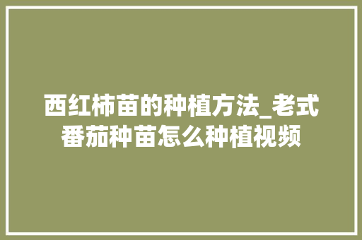 西红柿苗的种植方法_老式番茄种苗怎么种植视频 西红柿苗的种植方法_老式番茄种苗怎么种植视频 土壤施肥