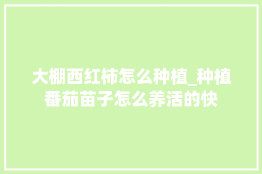 大棚西红柿怎么种植_种植番茄苗子怎么养活的快 大棚西红柿怎么种植_种植番茄苗子怎么养活的快 番茄种植技巧