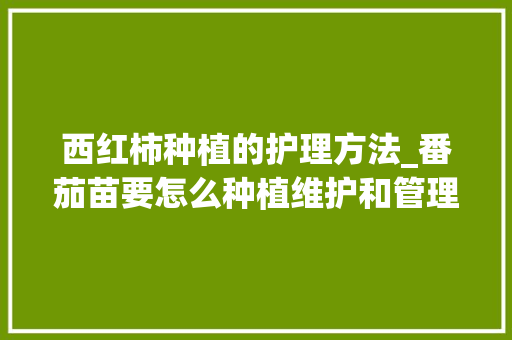 西红柿种植的护理方法_番茄苗要怎么种植维护和管理 西红柿种植的护理方法_番茄苗要怎么种植维护和管理 番茄种植技巧