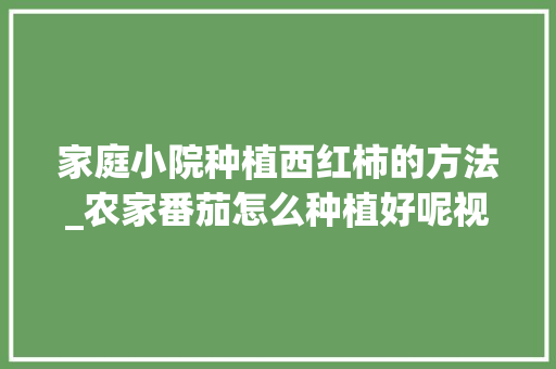 家庭小院种植西红柿的方法_农家番茄怎么种植好呢视频 家庭小院种植西红柿的方法_农家番茄怎么种植好呢视频 番茄种植技巧