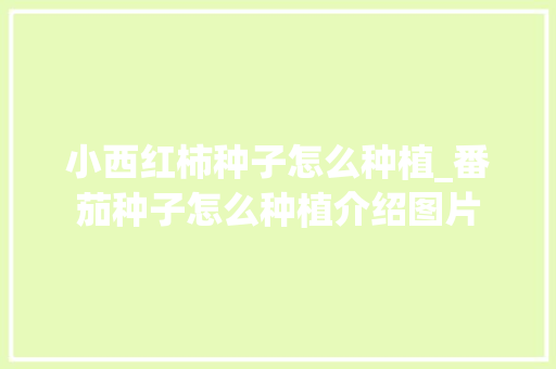 小西红柿种子怎么种植_番茄种子怎么种植介绍图片 小西红柿种子怎么种植_番茄种子怎么种植介绍图片 种植技巧