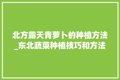 北方露天青萝卜的种植方法_东北蔬菜种植技巧和方法视频