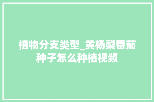 植物分支类型_黄杨梨番茄种子怎么种植视频