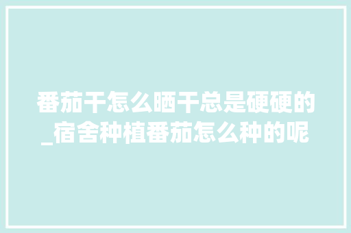 番茄干怎么晒干总是硬硬的_宿舍种植番茄怎么种的呢