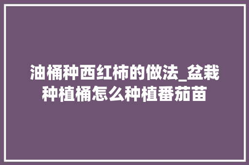 油桶种西红柿的做法_盆栽种植桶怎么种植番茄苗 油桶种西红柿的做法_盆栽种植桶怎么种植番茄苗 番茄种植技巧