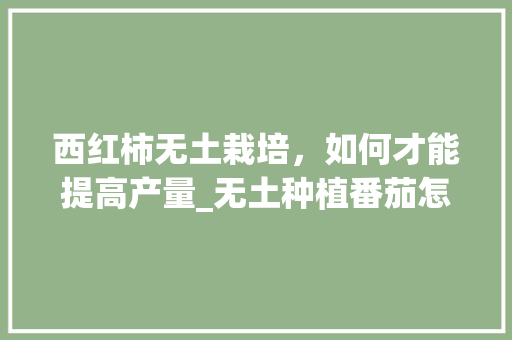西红柿无土栽培，如何才能提高产量_无土种植番茄怎么种植的视频 西红柿无土栽培，如何才能提高产量_无土种植番茄怎么种植的视频 番茄种植技巧