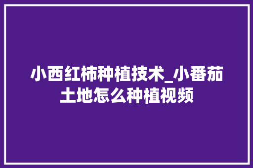 小西红柿种植技术_小番茄土地怎么种植视频 小西红柿种植技术_小番茄土地怎么种植视频 番茄种植技巧