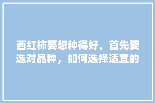 西红柿要想种得好，首先要选对品种，如何选择适宜的西红柿品种_番茄怎么选购种植品种呢