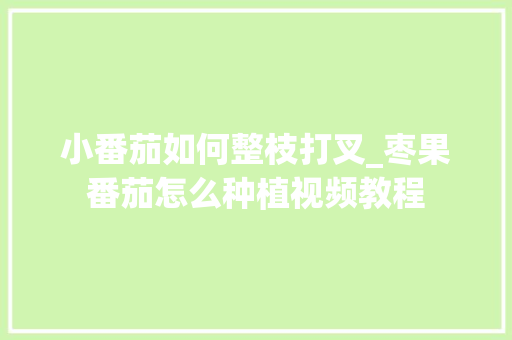 小番茄如何整枝打叉_枣果番茄怎么种植视频教程 小番茄如何整枝打叉_枣果番茄怎么种植视频教程 土壤施肥