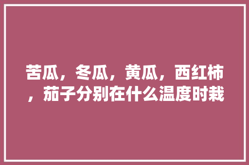 苦瓜，冬瓜，黄瓜，西红柿，茄子分别在什么温度时栽培_苦瓜怎么种植小番茄视频