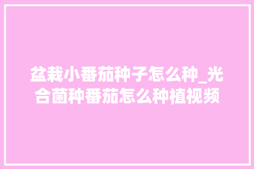 盆栽小番茄种子怎么种_光合菌种番茄怎么种植视频 盆栽小番茄种子怎么种_光合菌种番茄怎么种植视频 番茄种植技巧