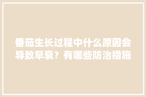 番茄生长过程中什么原因会导致早衰？有哪些防治措施_番茄种植总结怎么写范文