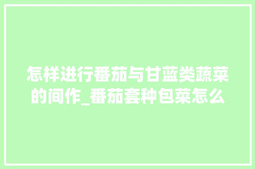 怎样进行番茄与甘蓝类蔬菜的间作_番茄套种包菜怎么种植视频