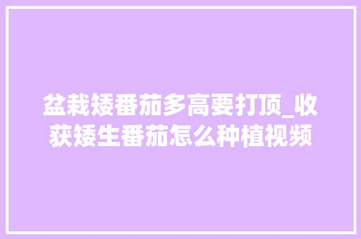 盆栽矮番茄多高要打顶_收获矮生番茄怎么种植视频 盆栽矮番茄多高要打顶_收获矮生番茄怎么种植视频 花朵知识