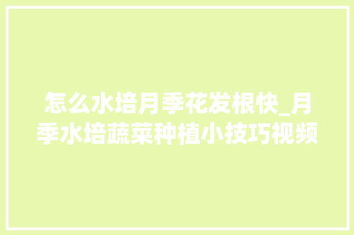 怎么水培月季花发根快_月季水培蔬菜种植小技巧视频