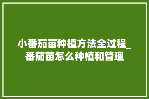 小番茄苗种植方法全过程_番茄苗怎么种植和管理 小番茄苗种植方法全过程_番茄苗怎么种植和管理 植物种类
