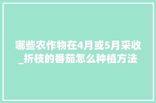哪些农作物在4月或5月采收_折枝的番茄怎么种植方法视频
