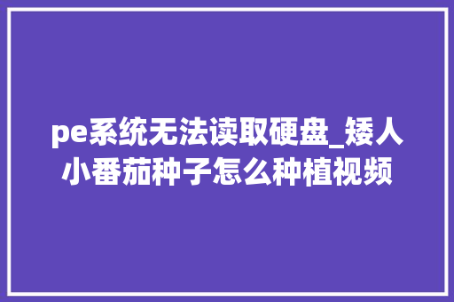 pe系统无法读取硬盘_矮人小番茄种子怎么种植视频