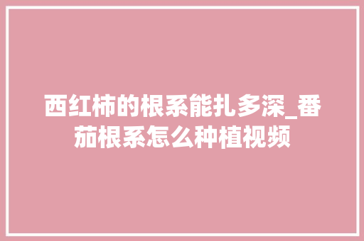 西红柿的根系能扎多深_番茄根系怎么种植视频