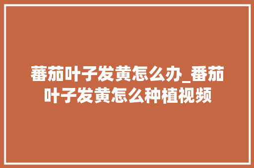 蕃茄叶子发黄怎么办_番茄叶子发黄怎么种植视频 蕃茄叶子发黄怎么办_番茄叶子发黄怎么种植视频 花朵知识