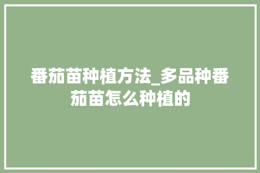 番茄苗种植方法_多品种番茄苗怎么种植的 番茄苗种植方法_多品种番茄苗怎么种植的 番茄种植技巧