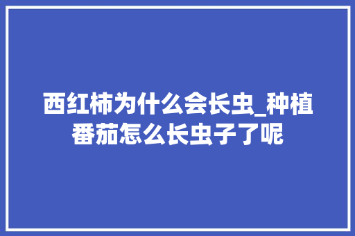 西红柿为什么会长虫_种植番茄怎么长虫子了呢 西红柿为什么会长虫_种植番茄怎么长虫子了呢 番茄种植技巧