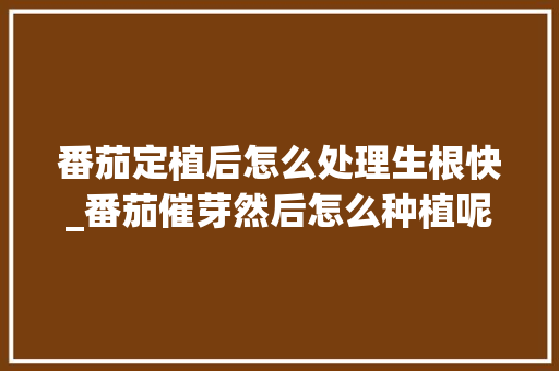 番茄定植后怎么处理生根快_番茄催芽然后怎么种植呢视频 番茄定植后怎么处理生根快_番茄催芽然后怎么种植呢视频 花朵知识