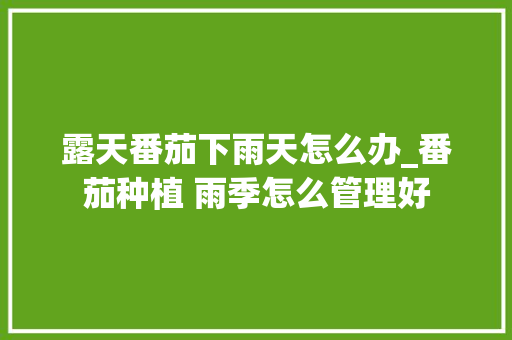 露天番茄下雨天怎么办_番茄种植 雨季怎么管理好 露天番茄下雨天怎么办_番茄种植 雨季怎么管理好 番茄病虫害防治