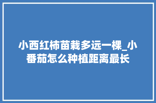 小西红柿苗栽多远一棵_小番茄怎么种植距离最长 小西红柿苗栽多远一棵_小番茄怎么种植距离最长 番茄病虫害防治