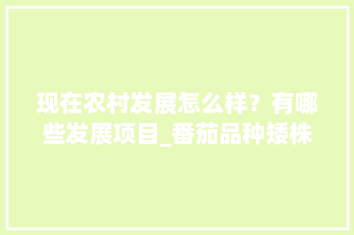 现在农村发展怎么样？有哪些发展项目_番茄品种矮株怎么种植的 现在农村发展怎么样？有哪些发展项目_番茄品种矮株怎么种植的 番茄种植技巧