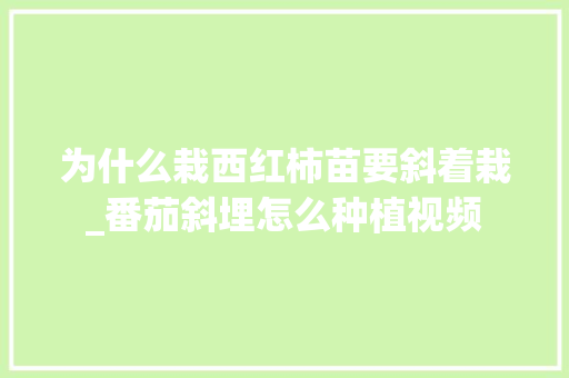 为什么栽西红柿苗要斜着栽_番茄斜埋怎么种植视频 为什么栽西红柿苗要斜着栽_番茄斜埋怎么种植视频 花朵知识