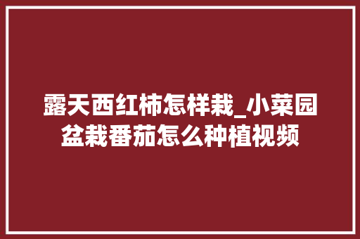 露天西红柿怎样栽_小菜园盆栽番茄怎么种植视频 番茄病虫害防治 露天西红柿怎样栽_小菜园盆栽番茄怎么种植视频 露天西红柿怎样栽_小菜园盆栽番茄怎么种植视频 番茄病虫害防治