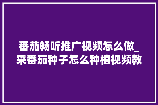 番茄畅听推广视频怎么做_采番茄种子怎么种植视频教程
