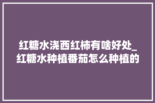 红糖水浇西红柿有啥好处_红糖水种植番茄怎么种植的