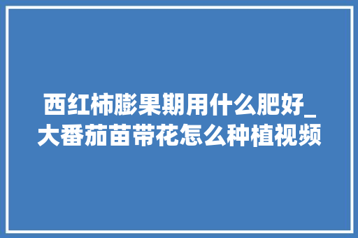 西红柿膨果期用什么肥好_大番茄苗带花怎么种植视频 西红柿膨果期用什么肥好_大番茄苗带花怎么种植视频 土壤施肥