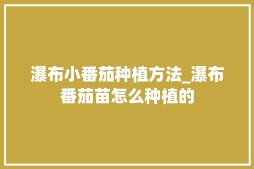 瀑布小番茄种植方法_瀑布番茄苗怎么种植的