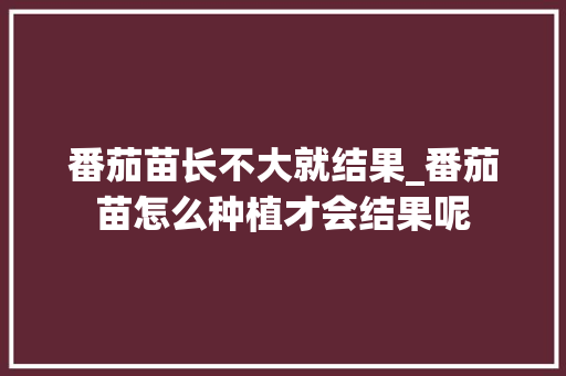 番茄苗长不大就结果_番茄苗怎么种植才会结果呢 番茄苗长不大就结果_番茄苗怎么种植才会结果呢 种植技巧