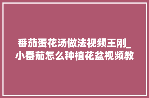 番茄蛋花汤做法视频王刚_小番茄怎么种植花盆视频教程 番茄蛋花汤做法视频王刚_小番茄怎么种植花盆视频教程 番茄种植技巧