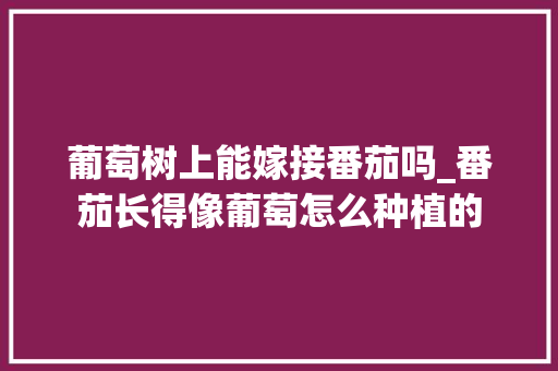 葡萄树上能嫁接番茄吗_番茄长得像葡萄怎么种植的